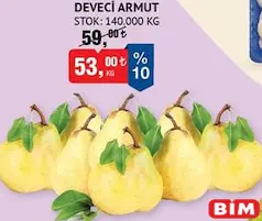 DEVECİ ARMUT KG DEVECİ ARMUT KG